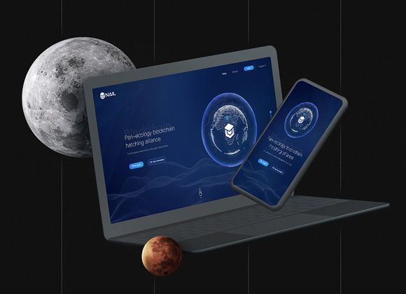 泰安网站建设开发对banner图进行良好设计